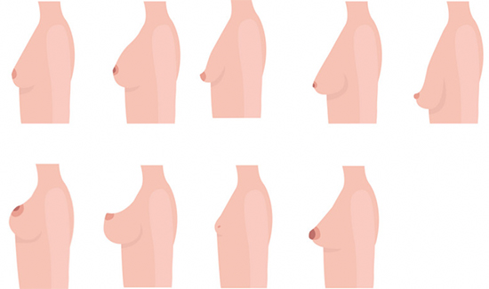 Boobs Image Illustration