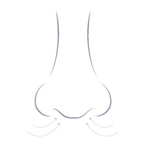 Illustration demonstrating the common nose concerns relating to breathing issues.