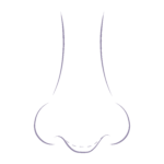 Illustration demonstrating the common nose concerns relating to a drooping nose.