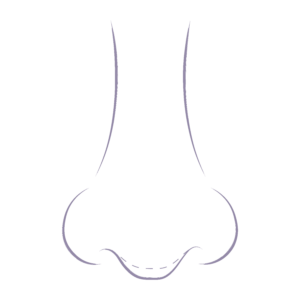 Illustration demonstrating the common nose concerns relating to a drooping nose.