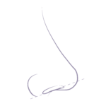 An illustration of a retracted columella, showing what adjustments can be made to nose concerns relating to the columella.